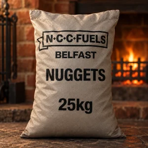 Nuggets (25kg)