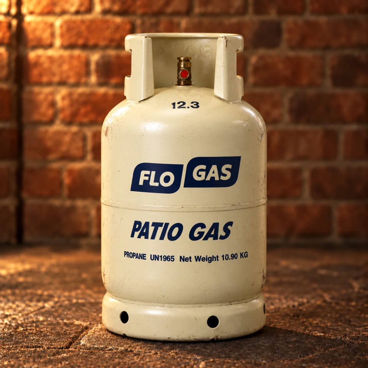 patio gas cylinder Cream FloGas Patio Gas propane cylinder